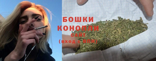 тгк Володарск
