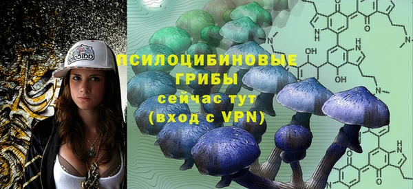 тгк Володарск