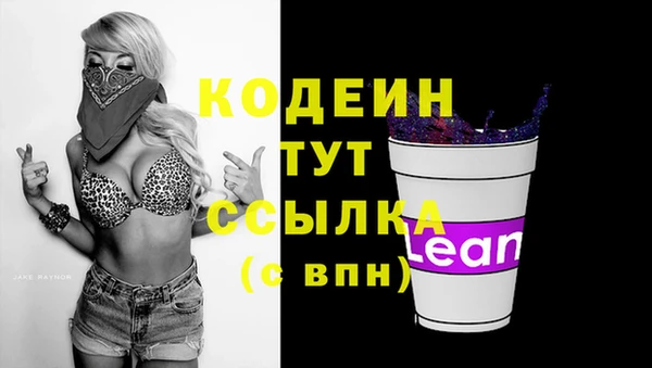 тгк Володарск