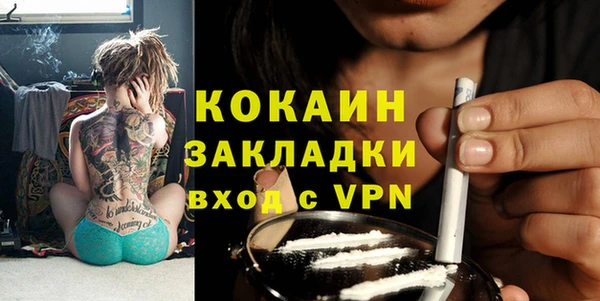 шишки Вяземский