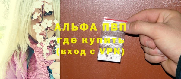 тгк Володарск