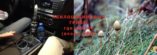 тгк Володарск