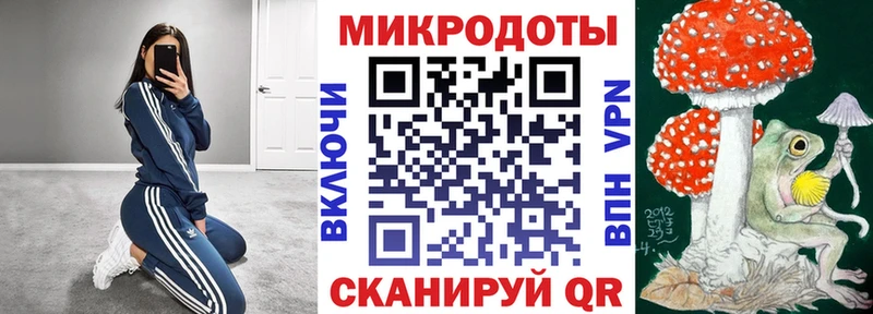 Галлюциногенные грибы Psilocybe  купить закладку  Новоржев 